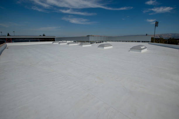 Best Asphalt Shingle Roofing  in Ninety Six, SC